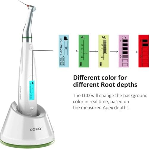 COXO C-smart Mini AP Endo Motor Dental Endodontic Motor with Apex Locator 2 in 1