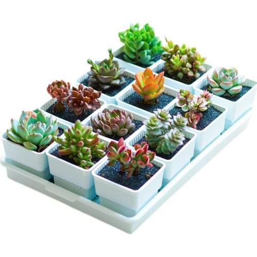 Пластиковые горшки Voraca China At AliExpress