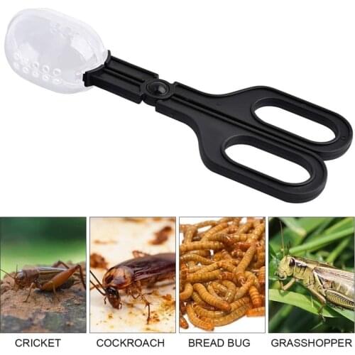 Reptile Feeding Tongs Cricket Clamp Bug Scooper for Snake Lizard Gecko Spider Bearded Dragon Terrarium Cleaning Tool