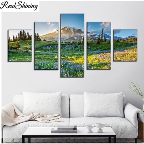 5d Full round/square 5pcs American Decor Mount Rainier Paintings Washington State,USA Landscape Diamond embroidery FS5918