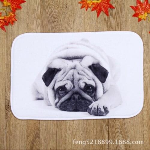 The latest design of silence in front of the dog home bedroom carpet slip mats