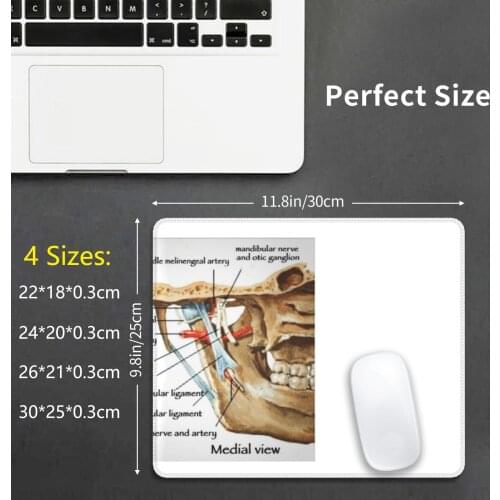 Jaw Mouse Pad DIY Print Cushion Biology Body Anatomy Science Learn White Bones Artery Skeleton