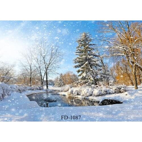 Vinyl winter Snow sunshine Forest Park River snowfall scenery photo taken in the background