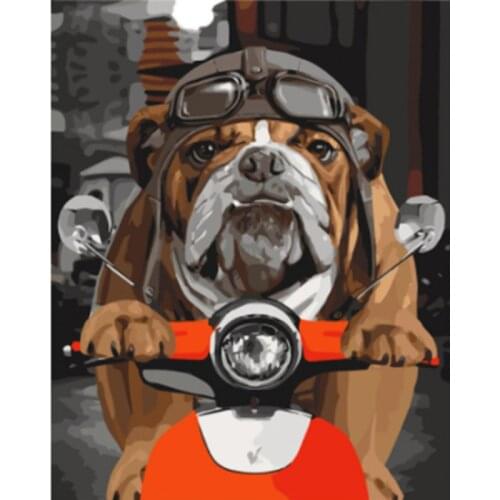 Locomotive Handsome Dog 40x50CM Painting By Numbers Animals On Canvas Pictures By Numbers Home Decoration DIY Minimalism Style