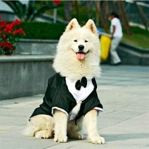 Dog Wedding Suit Boy Dog Clothes Tuxedo Corgi Bulldog Samoyed Husky Golden Retriever Clothing Pet Coat Jacket Outfit Dropship