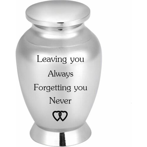 73mm Stainless Steel Cremation Mini Urn for Human Pet Funeral Memorial Ashes- Forgetting you never Cremation Keepsakes