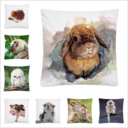 Big-Eyed Animal Gouache Pattern Soft Short Plush Cushion Cover Pillowcase Home Sofa Car Decoration Pillowcase 45X45Cm