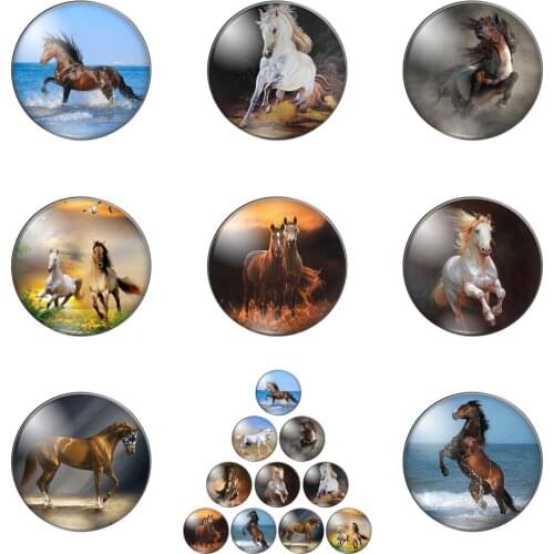Spectacular Animal Horses Galloping round Photo Glass Cabochon Demo Flat Back Making Findings Handmade DIY Accessories