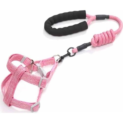 Set Cute Cartoon Pink Dog Harness Rope Adjustable Leash Leads for Small Large Dogs Walking Running Pet Accessories