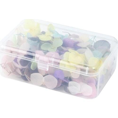 DIY Nail Art Filler Popular Dry Eternal Flowers Beauty Nails Large Applique Decorative Jewelry Crafts Making Epoxy Filling