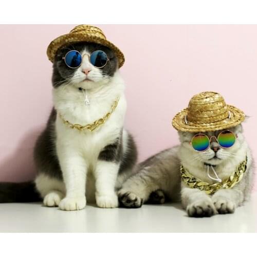 Fashion Lovely Pet Cat Glasses Dog Glasses Puppy Products for Little Dog Cat Eye-wear Protection Sunglasses Photos Accessories