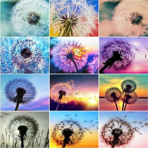 AZQSD DIY Picture By Number Dandelion Handpainted Modern Wall Art Oil Painting By Numbers Flower Kits Handmade Gift