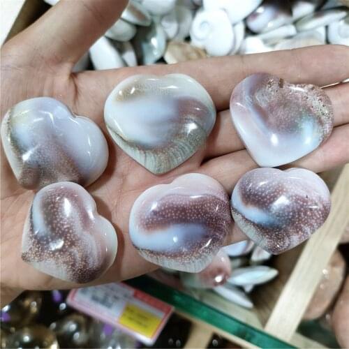 5pcs Natural Sun shell fossil Fossil Specimen Crystal Love Heart Reiki Shiva Eye For Healing Gifts