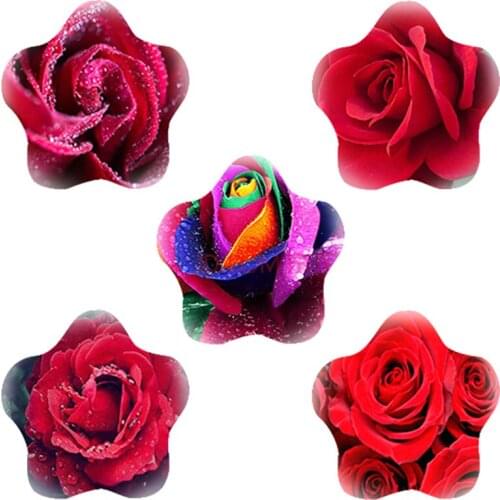 TAFREE 18 mm/25 mm Star Shaped Glass Cabochon with Rose Flowers Photo Flat Back DIY Base Cameo Jewelry Findings Making