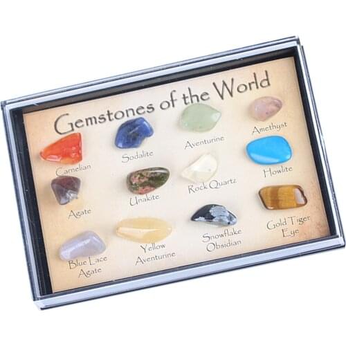 Rock & Mineral Collection Geology Science Kit Earth Science Toy - Pack Of 15