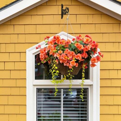 Hanging Basket Brackets Iron Hooks Stand Garden Deck Porch for Lanterns