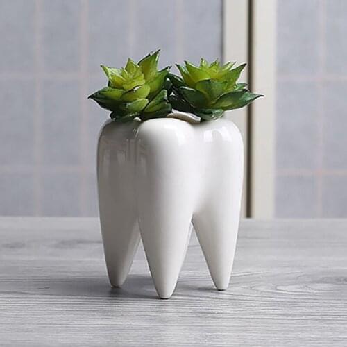 Modern Style Teeth Pots Ceramic Flower Pot Teeth Shape Flowerpot White Ceramic Succulent Flower Pot Bonsai Set Of 4
