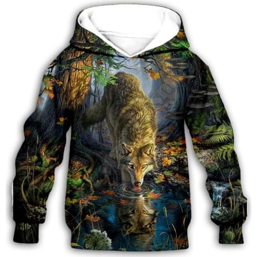 Dinosaur 3d printed Hoodies boy for girl Sweatshirt funny Cartoon Tracksuit zip Hoodies/pants/t shirt kids style-1