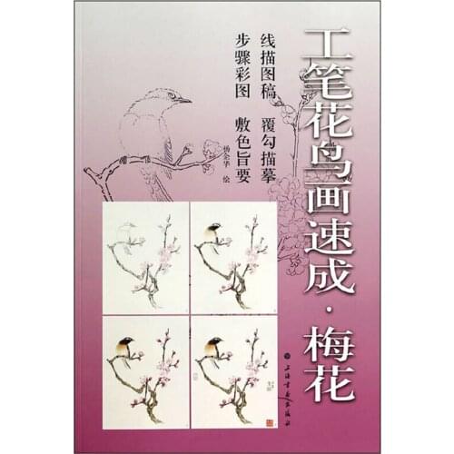 12Pcs Line Drawings of Chinese Meticulous Flower and Bird Paintings-Plum Blossom Coloring Book for Adults 8K Big Size