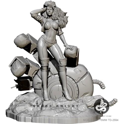 H75mm 1/24 Resin model kits DIY self-assembled TD-2594