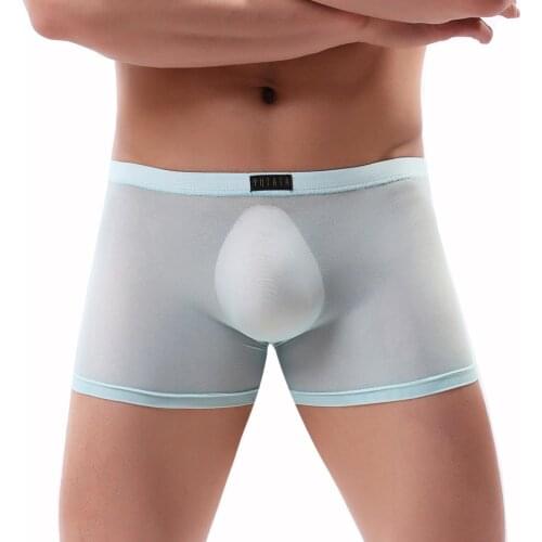 Sexy Underwear Cueca Boxer Men Mesh Shorts Plus Size Solid Mens Clothing Boxers Panties Shorts Sexy Gay Mens Boxer