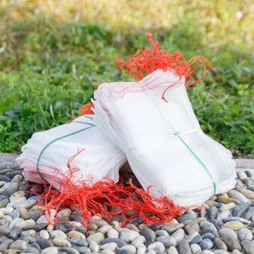 10PCS Fruit Vegetable Insert Protection Grow Bag Anti Bird Drawstring Netting Mesh Bag Agricultural Pest Control Garden Tools