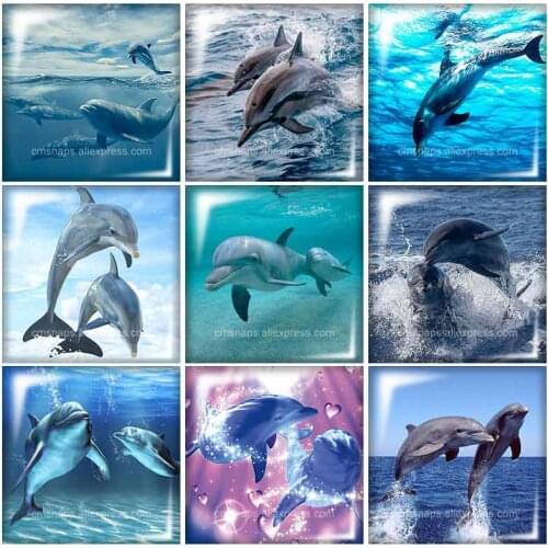 Beauty Animals Dolphin frog butterfly 12mm/20mm/25mm/30mm Square glass cabochon flat back DIY Jewelry Findings Components