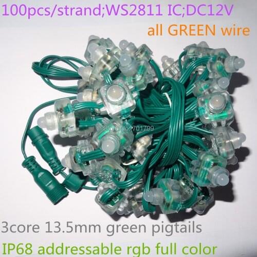 DC12V WS2811 LED smart string,addressable,with all GREEN color wire,IP68 rated;epoxy resin filled;100pcs a string