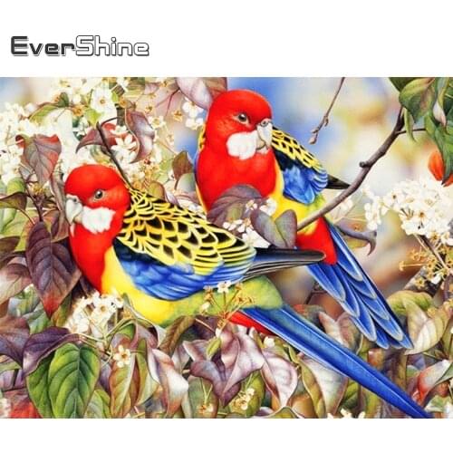 Evershine 5D DIY Diamond Embroidery Parrot Cross Stitch Kit Diamond Painting Sale Animal Rhinestone Art Home Decor Gift