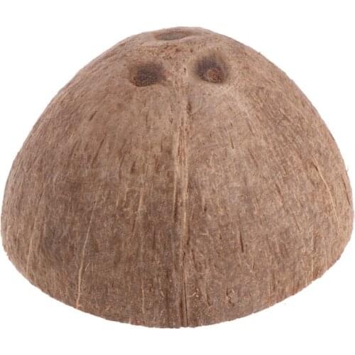 Reptile Hide Habitat Natural Coconut Shell Lizard Spider Small Animal Cave House