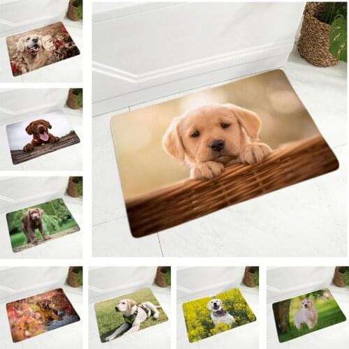 Cute Labrador Door Floor Mat for Hallway Kitchen Room Decor Pet Dog Animal Doormat Non-Slip 40x60cm Soft Flannel Rug