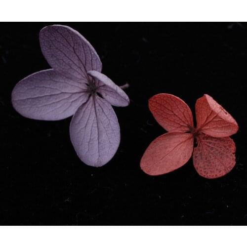 Real Dried Pressed Colored Flowers Embellishments for Nail Art Candle Crafts DIY