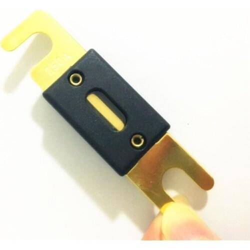 20pcs/lot Good Quality Golden Plated 250A Car Audio ANL Fuse