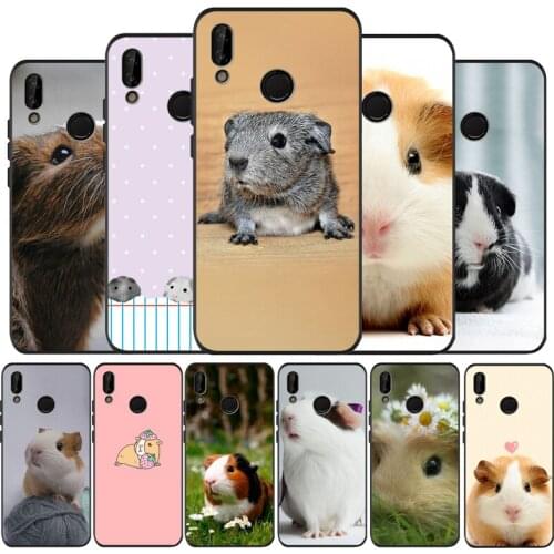 Guinea Pigs black Silicone soft Phone Case for huawei P40 P30 P20 P10 Pro P9 Lite Psmart 2019 Y6 Y9 cover