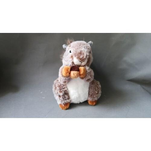 Cute simulation brown squirrel toy plush high quality squirrel doll gift about 20cm