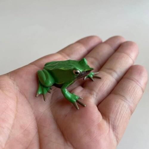 Pvc figure Animal model toy Darwinfrog model