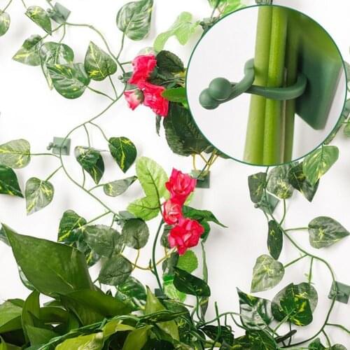 10Pcs/Set Invisible Rattan Clamp Plant Clip Green Plant Wall Vine Climbing Sticky Hook Fixer Stent for Garden Tools 3 Sizes