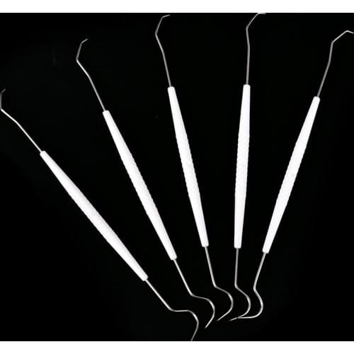 New 10PC One-time Temporary Stainless Steel Double Hook Tooth Dental Explorer Dentalist Probe Materials Dentist Tool Set