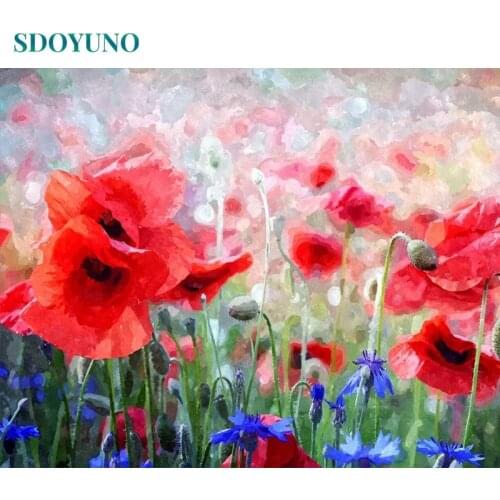 SDOYUNO 60x75cm DIY Oil Painting By Numbers Red Flower Picture By Numbers On Canvas Digital Painting Frameless Home Decor