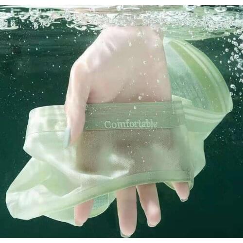 Silk Transparent Breathable Soft Womens Underwear Panties Sexy Low Rise Underpants Brief for Female Lingerie