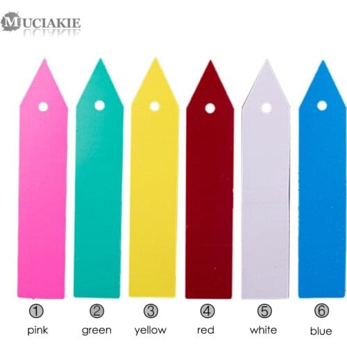 MUCIAKIE 100PCS 10x2cm Stake Type Kindergarden Plants Markers with Small Round Hole Flower Pot Tags Garden Flowers Labels