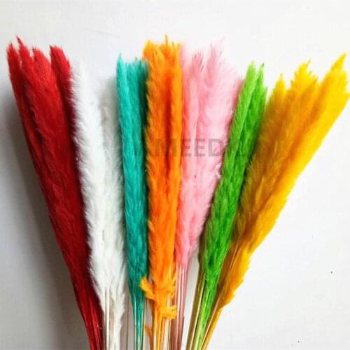 15pcs/lot Garden Rabbit Tail Grass Preserved Fresh Flower Natural Dried Flowers Bouquet Wedding Home Decoration
