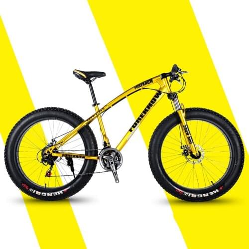 Mountain Bike Off Road Beach Snowmobile Adult Wide Tire Car High Carbon Steel Male and Female Students Bicycle