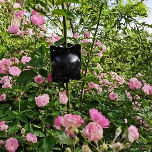 Plant Rooting Device High Pressure Propagation Ball High Pressure Box Grafting Propagation Plant Rooting Equipment Ball 2