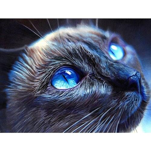 Diamond Painting Kits Cat 5D DIY Full Round With AB Drill Diamond Embroidery Animal Rhinestone Art Home Decoration Gift