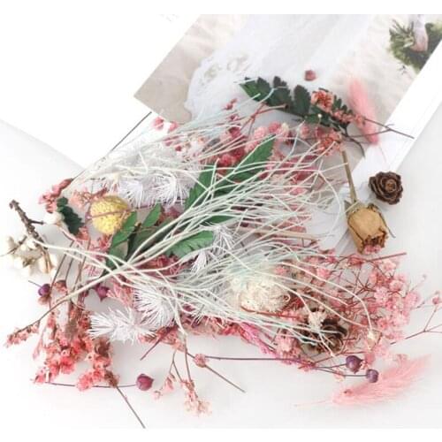 1 Box Natural Dried Flower Dry Plants for DIY Epoxy Resin Charm Pendant Aromatherapy Candle Jewelry Crafts Making Accessories