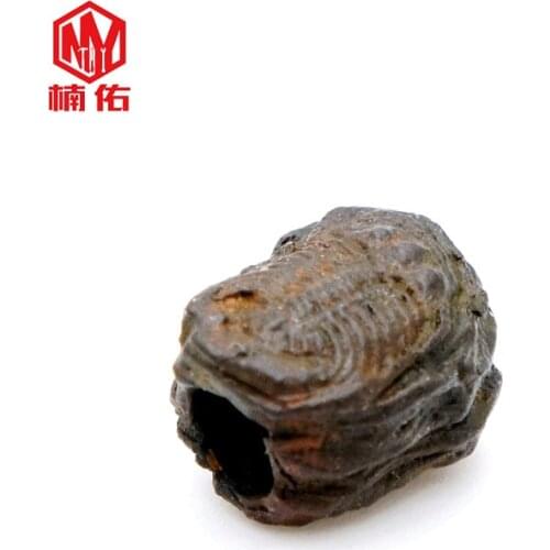 1PC Trilobite Fossils Retro Bronze EDC Paracord Beads Umbrella Rope Cord Lanyard Pendants Knife Beads Outdoor Knife Accessories