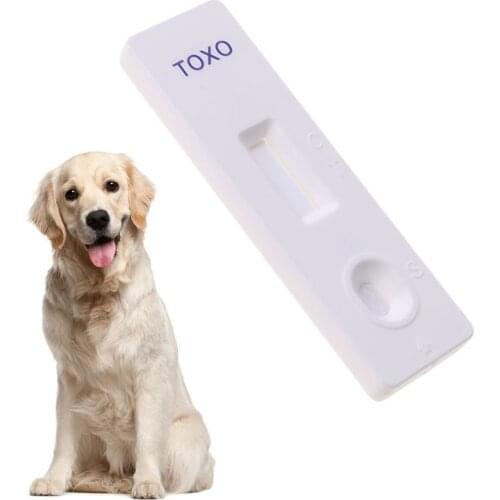 Let’s Pet Thermometers For Water