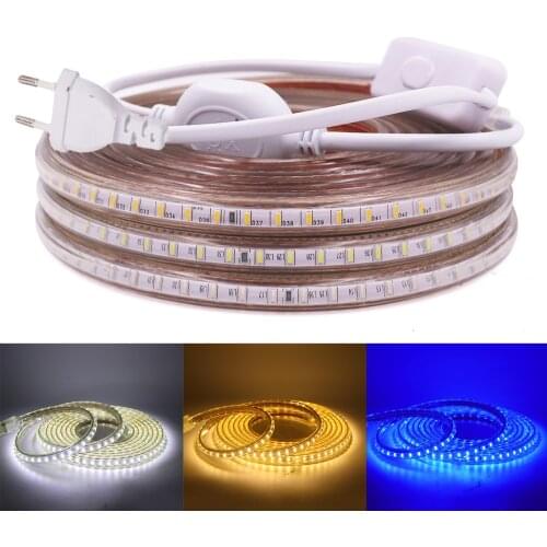 LED Strip EU 220 240V Waterproof IP67 Outdoor Rope White/Warm White/Blue SMD 3014 120LEDs/m LED Light Strip +EU Switch plug