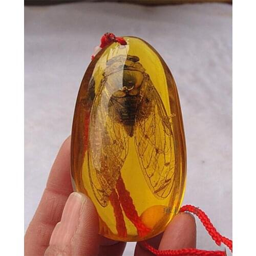 Amber amber insect pendant wax insect snake standard amber pendant various styles